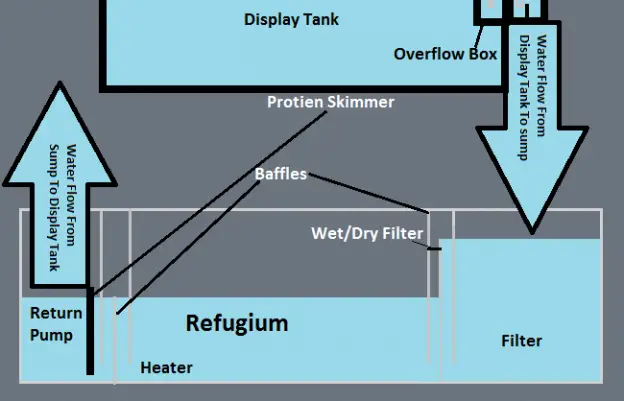 DIY Sump Guide – The Mandarin Garden