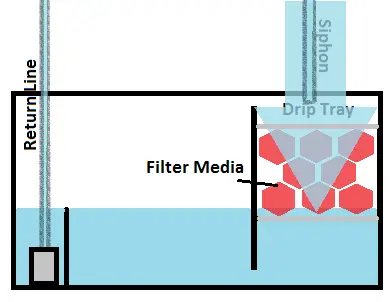 DIY Wet/Dry Filter Guide – The Mandarin Garden